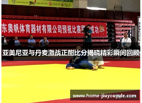 亚美尼亚与丹麦激战正酣比分揭晓精彩瞬间回顾